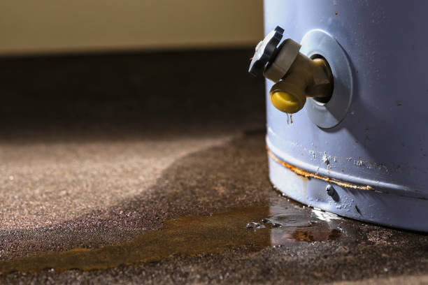 Best 24-hour water damage restoration  in Summersville, WV