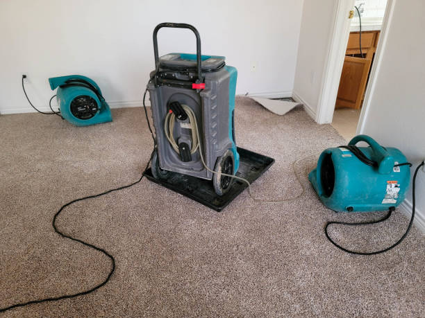 Best Water damage repair service  in Summersville, WV