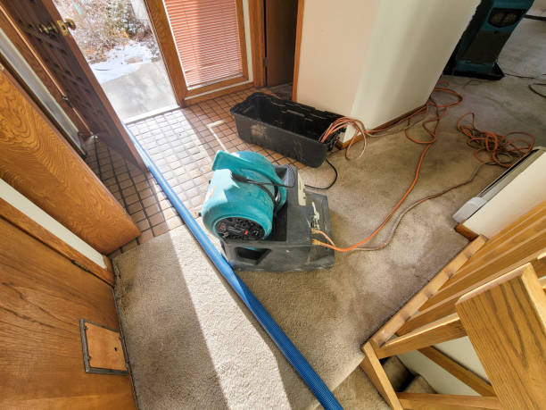 Best Commercial water damage restoration  in Summersville, WV