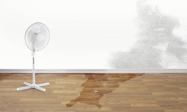  Summersville, WV Water damage restoration Pros