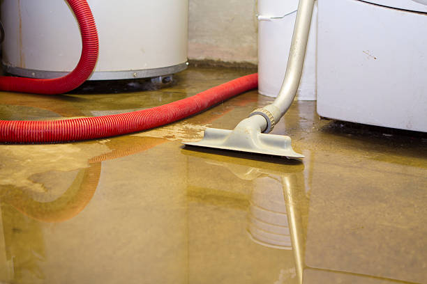 Best Water damage restoration mold remediation  in Summersville, WV